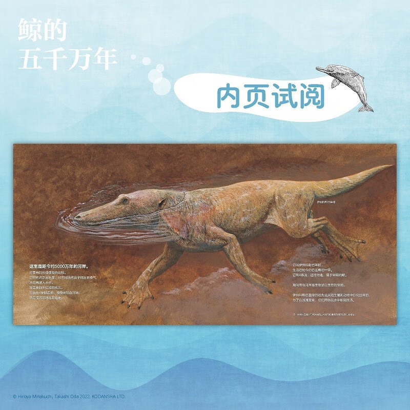 鲸的五千万年（一本跨越五千万年的绘本，走进鲸的世界，探索深海的奥秘，体验奇迹般的进化之旅）小天角轻科普系列详情图