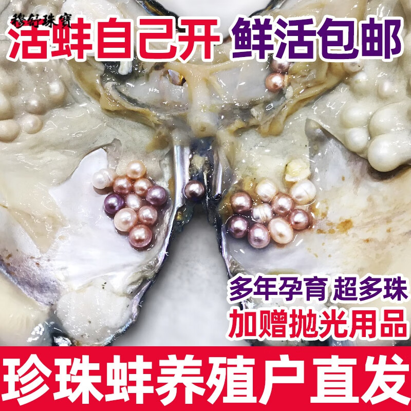 穆舒天然淡水珍珠蚌殼活體 河蚌多珠愛迪生自己開 蚌取珍珠鮮活 青年多珠蚌20個送真空小蚌