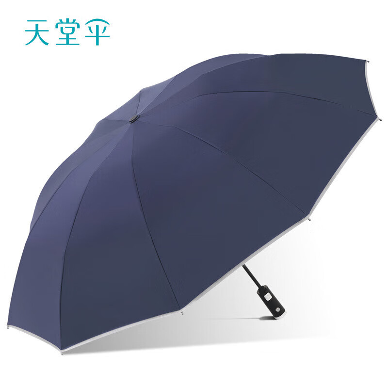 天堂伞加大雨伞便携全自动商务雨伞夜行手电筒反向伞 黛蓝色 伞下直径约102cm/10骨