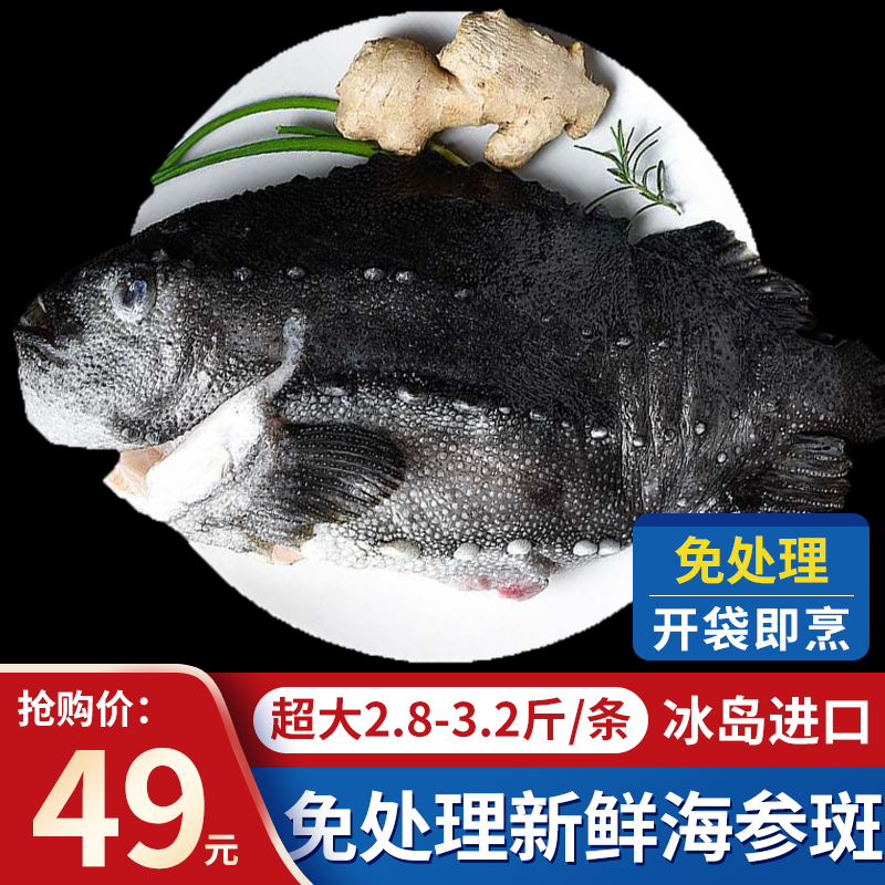 朵芙新鲜海参斑鱼 冰岛海捕大石斑鱼去砂去内脏 海鲜水产鱼类生鲜 2.