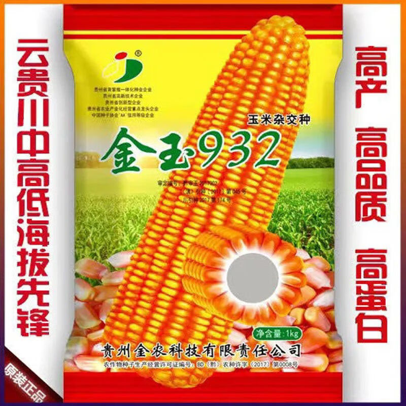 金玉818高产玉米种子双胞胎粮饲料玉米云贵川矮杆白轴包玉米种子 金玉