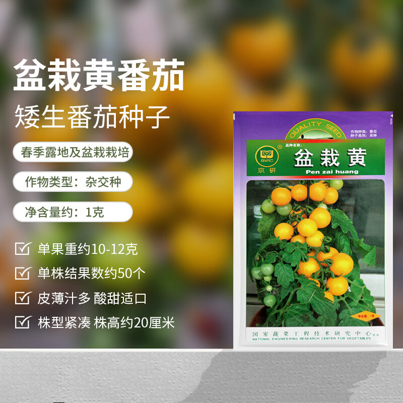 千禧樱桃小番茄圣女果普罗旺斯粉果易种蔬菜籽 盆栽黄矮生番茄 1克