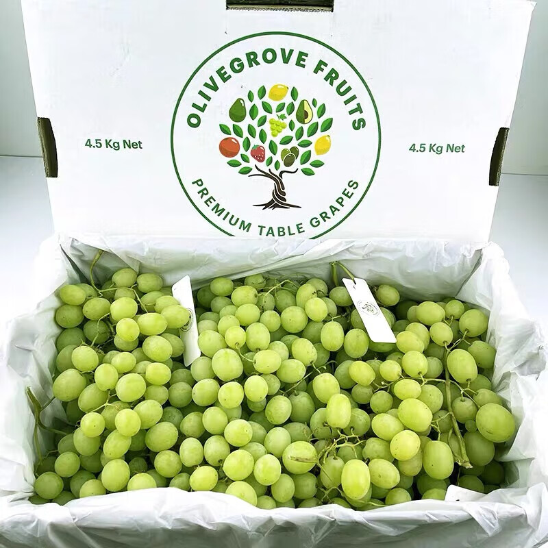 甜地球青提 秋天脆无籽葡萄秘鲁进口青提水果礼盒装孕妇水果多汁 1000