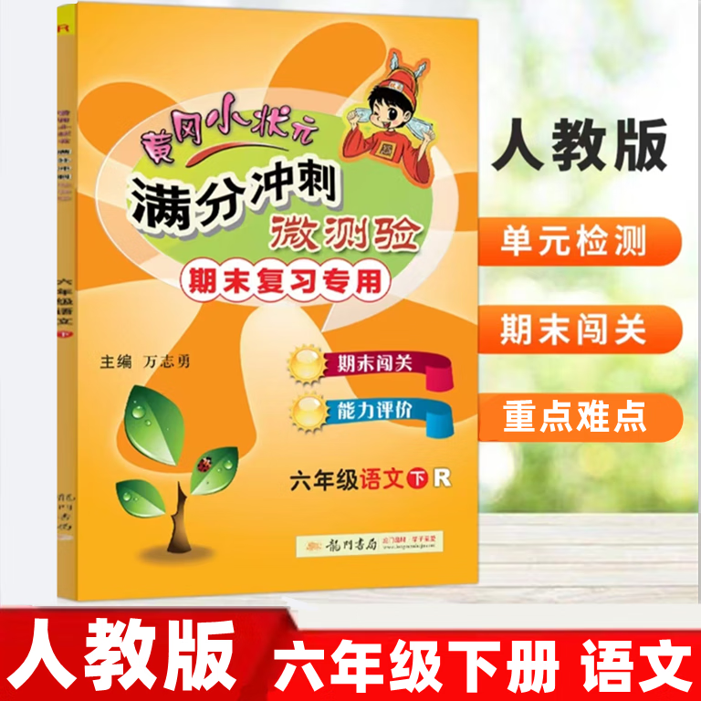 六年级语文下册人教版r期末复习使用小学6年级下学期期末复习考试语文