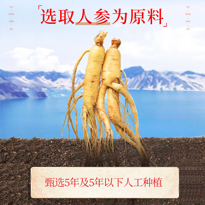 【中秋礼品】黄金搭档 人参蛋白粉 蛋白质粉 蛋白粉礼盒装中老年人营养品补充蛋白质术后营养品过节送礼 人参蛋白粉500*2罐【礼盒装】