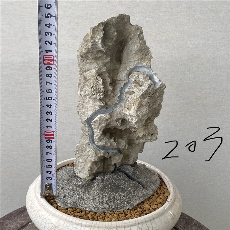 卫亮附石盆景开槽盆景附树石 树抱石 天然英德石 条形石 真石头造景石