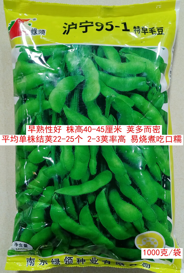 种子55-60天早大豆青豆仁鲜食豆米籽100 绿领沪宁95-1早熟毛豆1000克