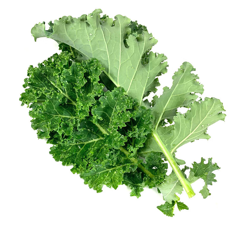 味巴哥羽衣甘蓝500g 新鲜蔬菜嫩叶芥蓝菜 kale沙拉蔬菜 全国多省5件
