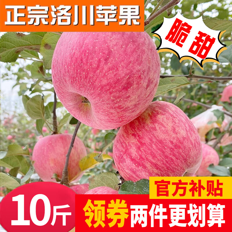 苹果历史价格数据|苹果价格走势图