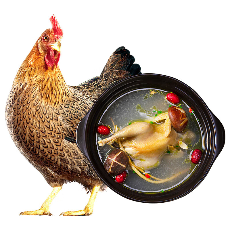 华英 赣南500天老母鸡 1.2kg 农家散养老母鸡 冷冻整鸡 散养土鸡走地鸡 月子餐月子汤鸡肉材料