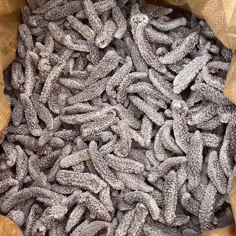 野生白刺参刺秃参猪婆参白赤参海参干货淡干刺参 十年白刺参约24条