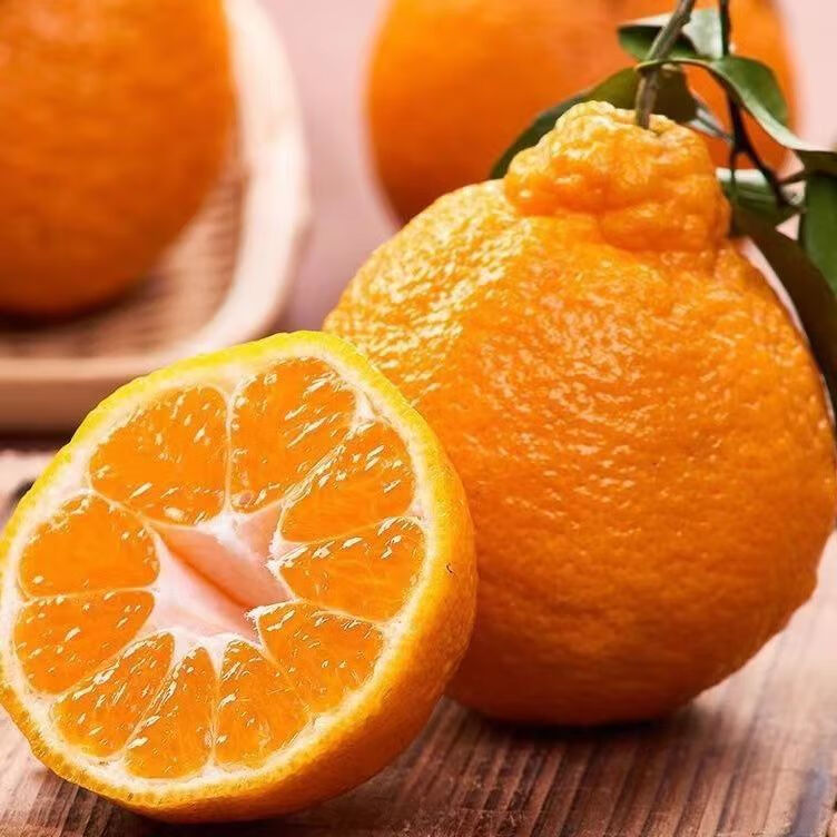 金百粟四川春见耙耙柑 当季新鲜水果粑粑柑生鲜丑桔橘子现摘整箱 净重4.5斤【80mm+】果农精选送礼