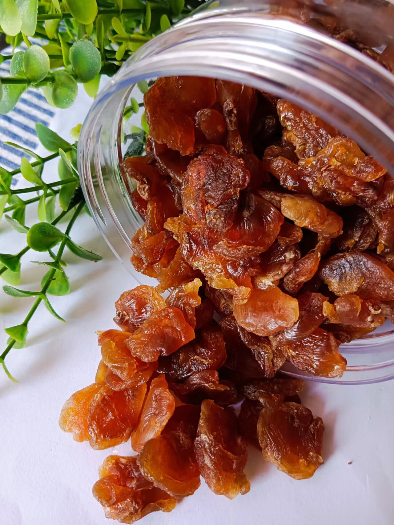 滇初郑记莆田农家自制龙眼肉原味无核免剥桂圆肉干新货罐装500g