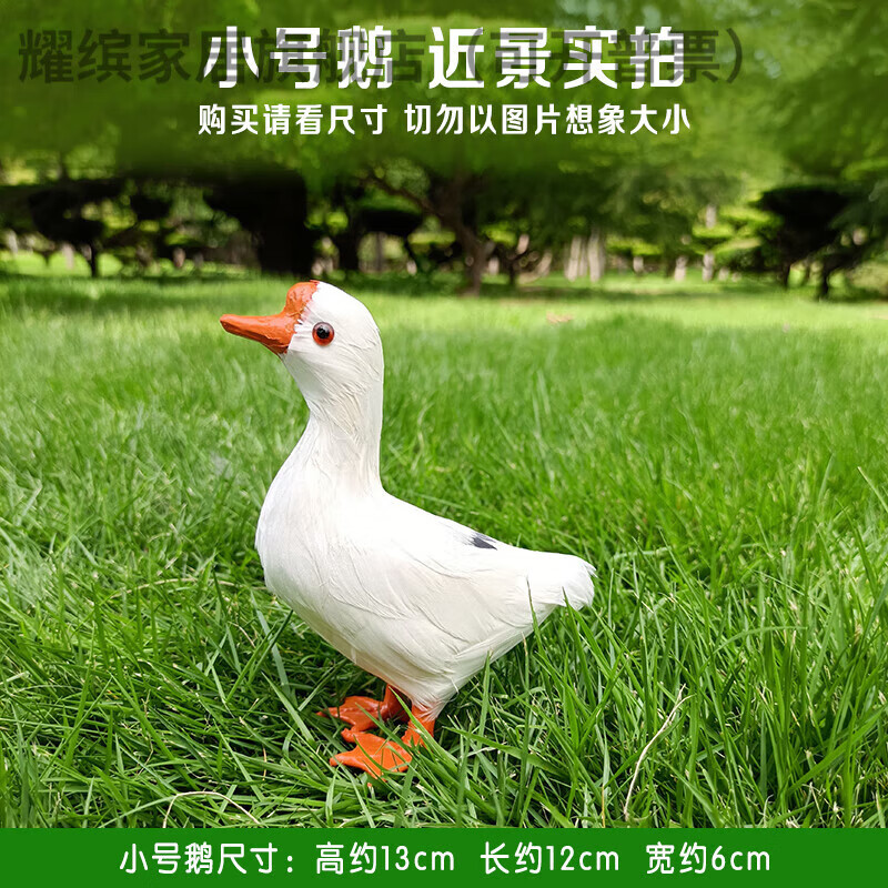 关于摆件摄影拍摄技巧视频教程的信息