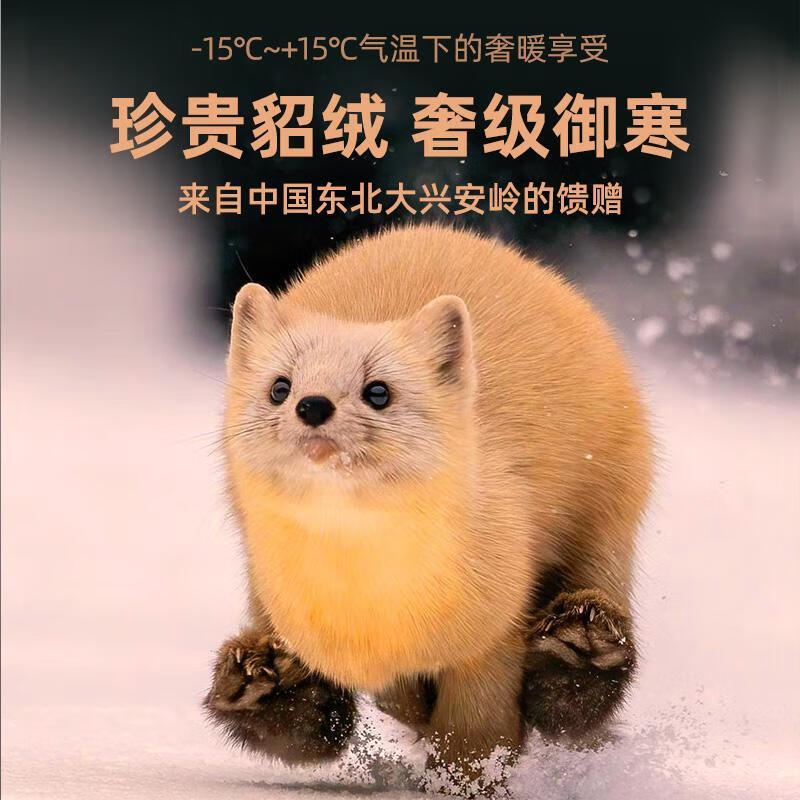 猫人(MiiOW)貂绒蚕丝无痕保暖背心男士加厚秋冬季内穿打底衫德绒琐温坎肩上衣 咖啡色 XXXL (175-200斤)