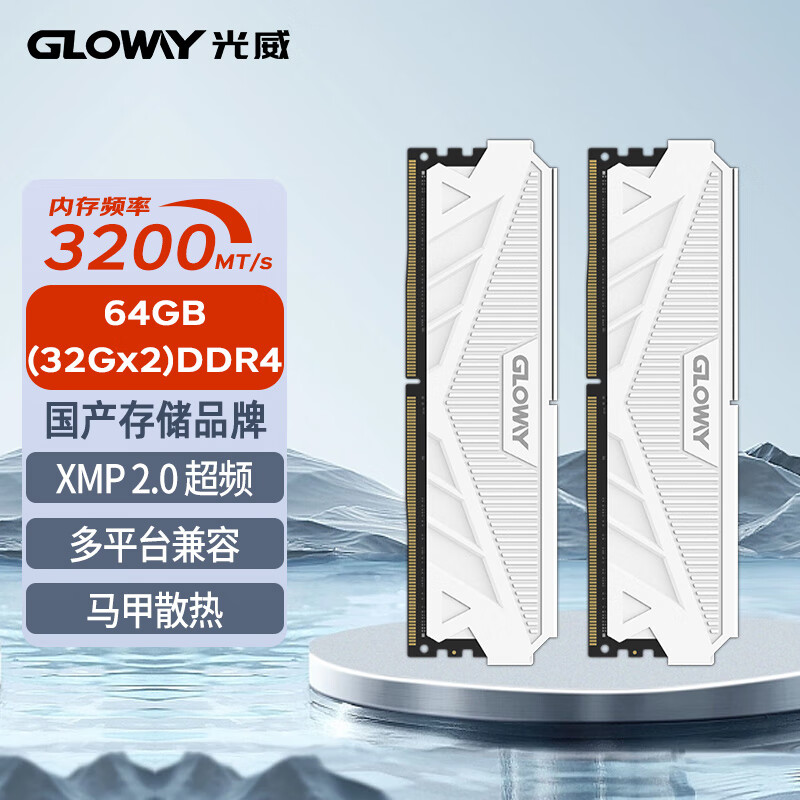GW 光威 天策 DDR4 3200MHz 台式机内存 马甲条 皓月白 64GB 32GBx2