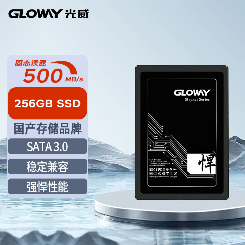 光威（Gloway）256GB SSD固态硬盘 SATA3.0接口 悍将系列