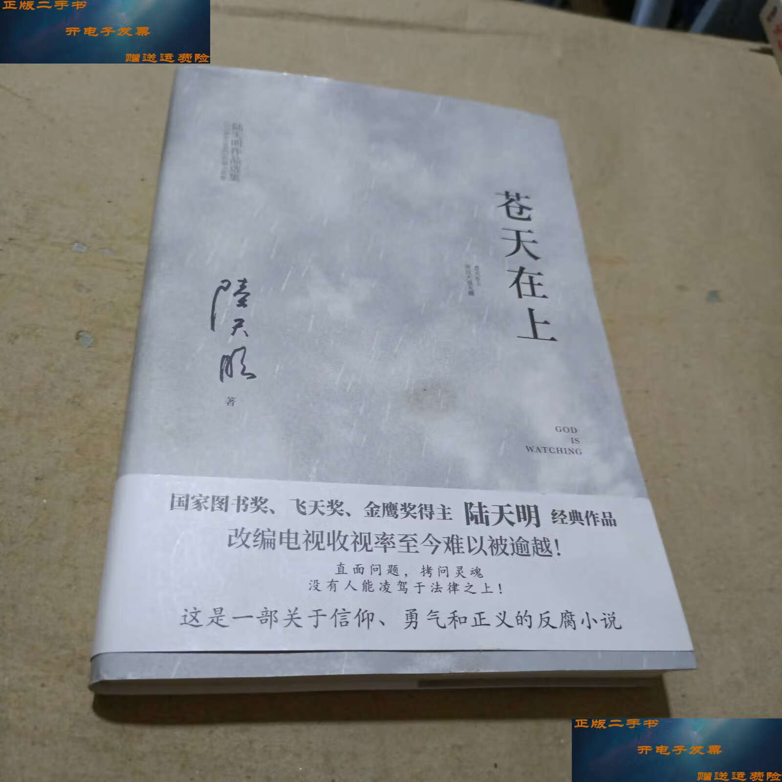 【二手9成新】苍天在上(国家图书奖,飞天奖,金鹰奖得主陆天明经典作品