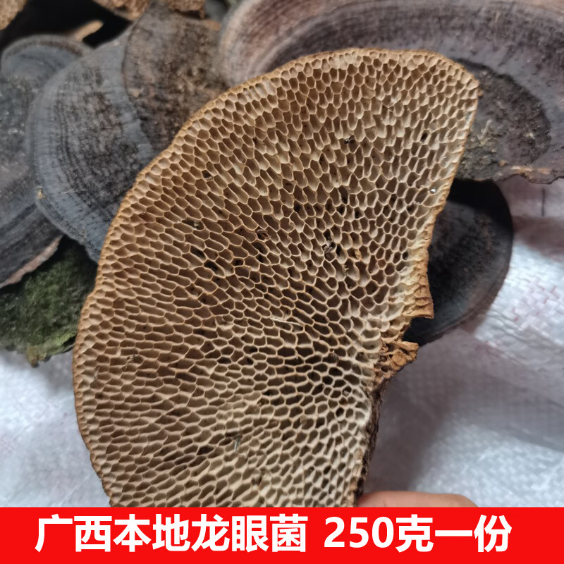 宜安堂广西本地龙眼菌毛蜂窝灵芝新货深山采摘毛蜂窝菌蜂窝孔菌250克