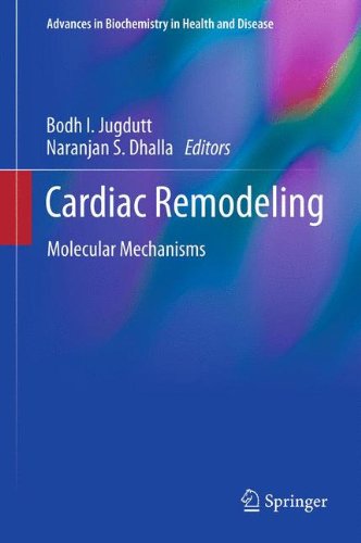 预订 cardiac remodeling