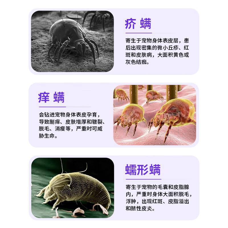 荣佳润宠物硫软膏灭螨狗狗猫咪真菌感染药驱螨虫皮肤病瘙痒红肿止痒外涂 硫软膏【1盒】
