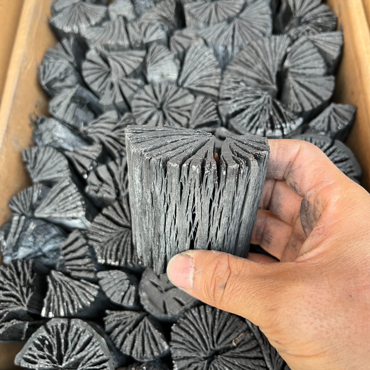 烧烤炭原木菊花白炭室内家用围炉煮茶耐烧高温铜火锅无烟木炭 中号菊花白炭(煮茶 烤肉 推荐) 5斤(含箱)
