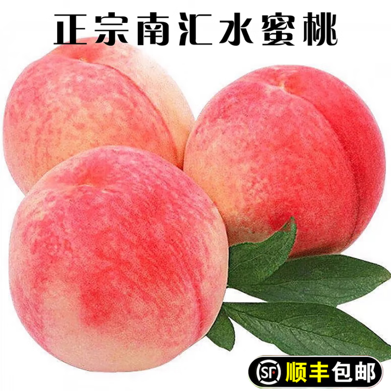 教蔬鲜生正宗南汇水蜜桃 产地顺丰直发 大团蜜露时令当季现摘软甜桃