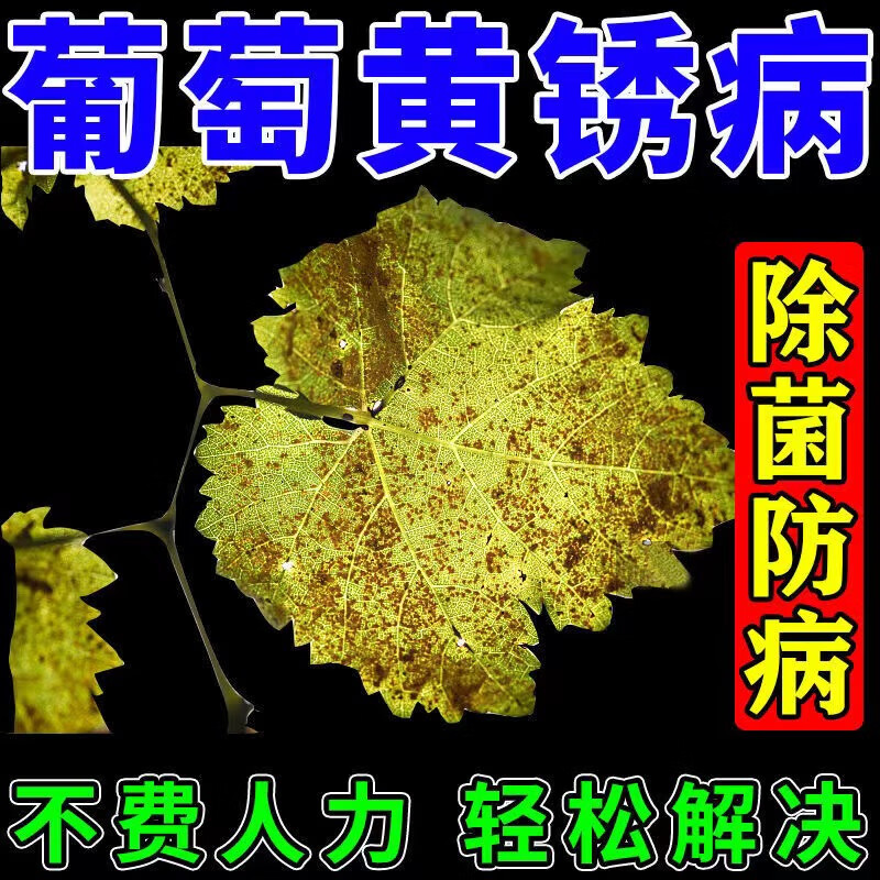 穗轴褐枯病果穗干枯烂梗烂穗幼果萎蔫脱落水溶肥料 葡萄病害清【1瓶】