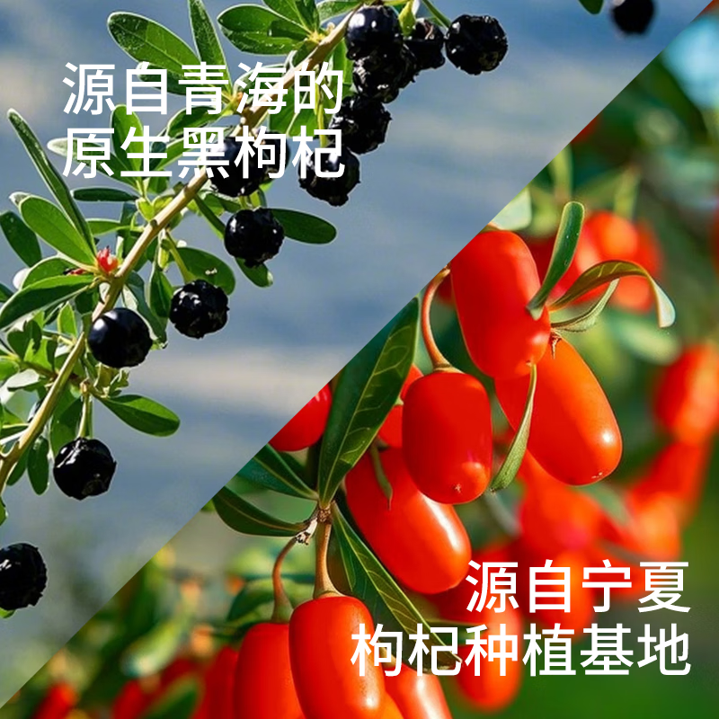 耕小兽枸杞原浆 鲜枸杞原浆 宁夏头茬枸杞鲜果原液 枸杞汁 30ml*90袋 红黑枸杞原浆 盒装