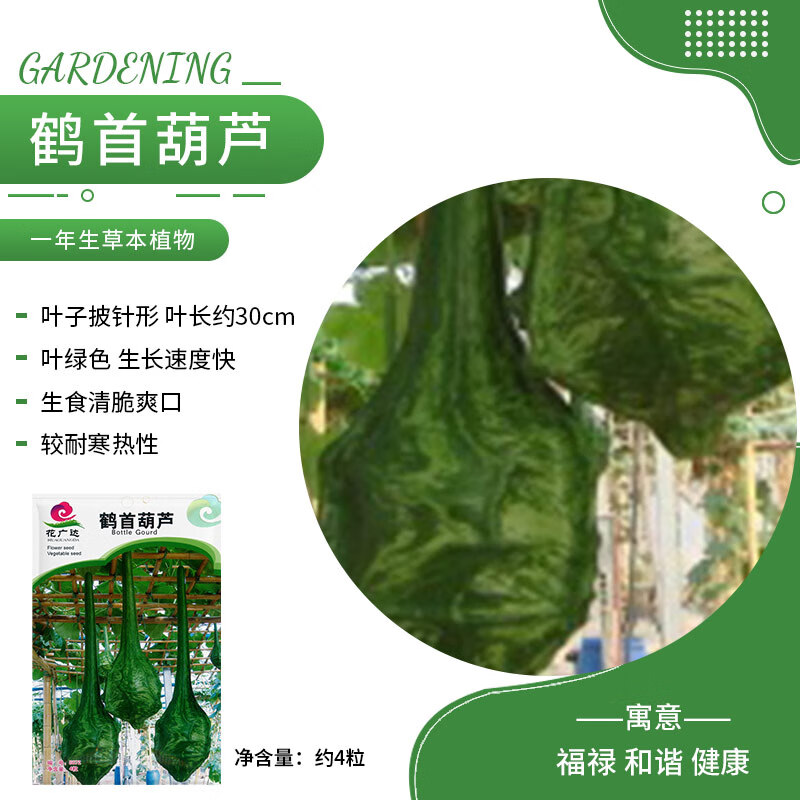 种籽向日葵太阳花紫苏虞美人薰衣草猫薄荷阳台盆栽 鹤首葫芦 约4粒