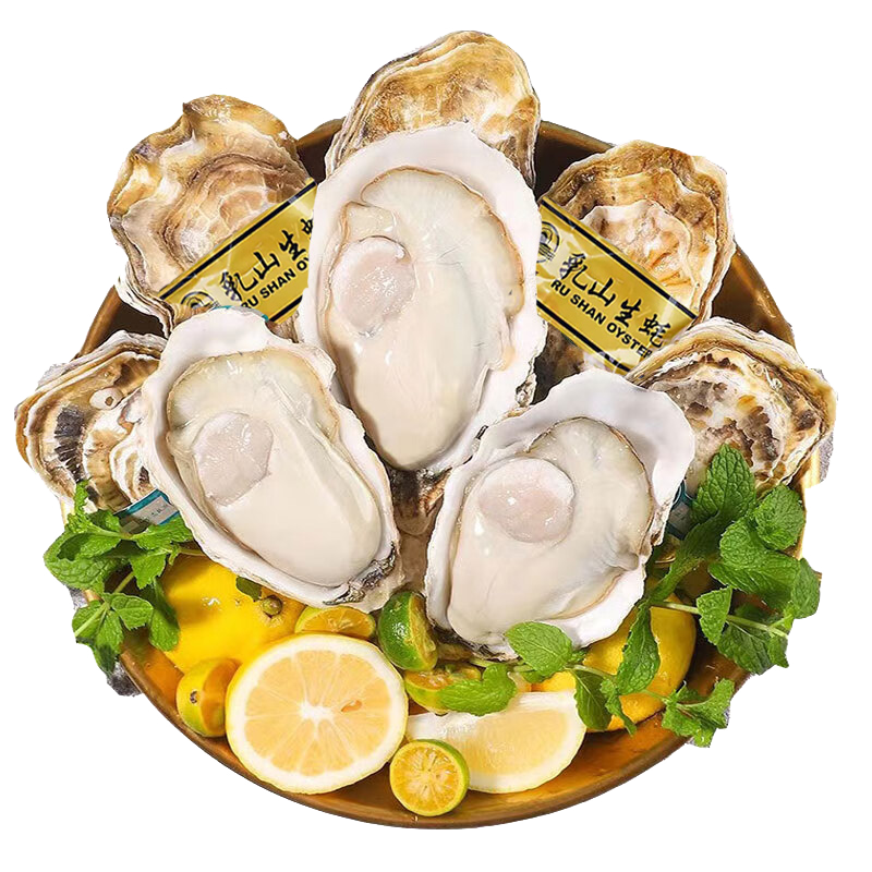 ڲ ɽʻشĵú5(6-10)ֻԴͷֱ   56.9Ԫ