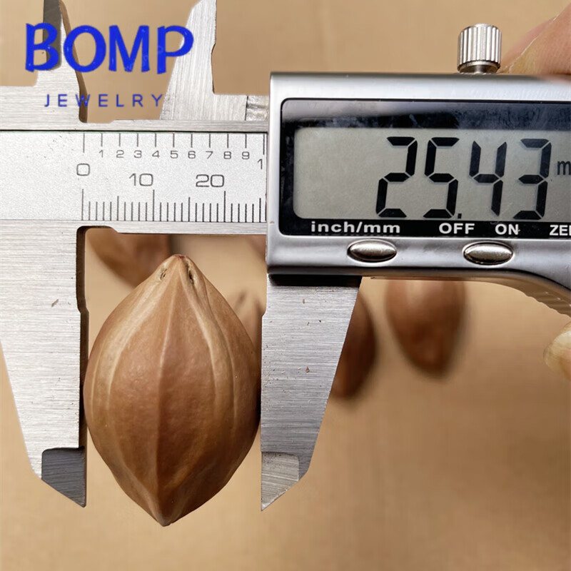 bomp橄榄核原料雕刻原籽超大直径同树四花核红润老料厚壁 同树三花