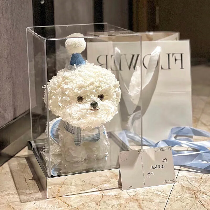 从舒(congshu)马尔济斯永生花绣球狗比熊泰迪犬马尔济斯小狗狗永生花