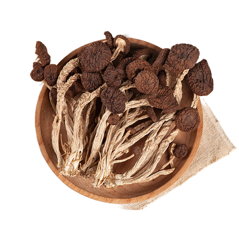 皇茅云南特产茶树菇干货 食用菌菇蘑菇煲汤材料 净重克 款树菇干