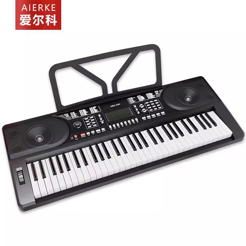 爱尔科（ECHO） 电子琴初学入门儿童成年人演奏教学型61键多功能通用键 ARK-80黑色标配