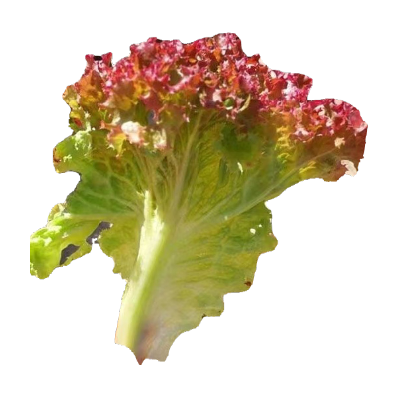 ����ȯ����Ҷ�������� 1��Լ1000��