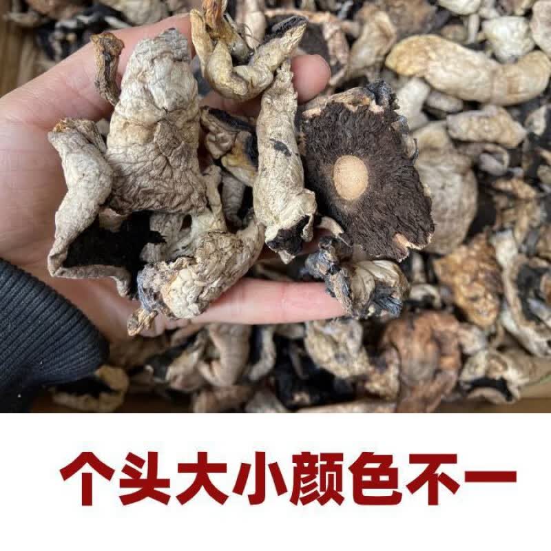 禾澹新疆特产巴里坤野蘑菇汤饭大盘鸡炖汤蘑菇干货味鲜有礼盒 属性