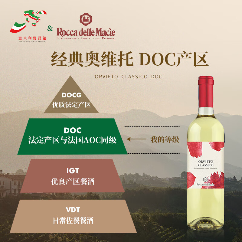 蒂维妮意大利名庄罗马卡契DOC产区软压法酿造白葡萄酒原瓶进口750ml 整箱6