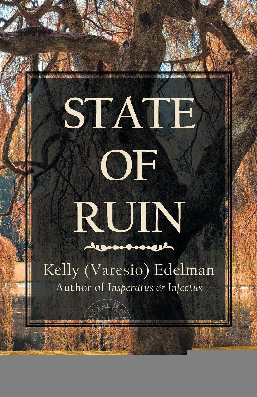 【2周达】【预售 按需印刷】state of ruin