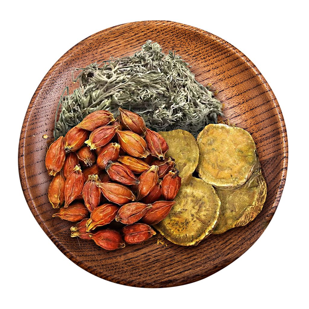北京同仁堂原料绵茵陈蒿汤原材料泡水绵茵陈栀子大黄中材散装新鲜茵陈