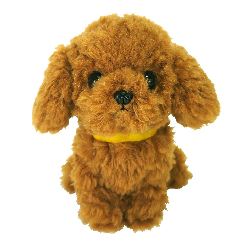 可爱贵宾犬狗公仔毛绒玩偶玩具小泰迪博美小号狗狗 巧克力色p-5912