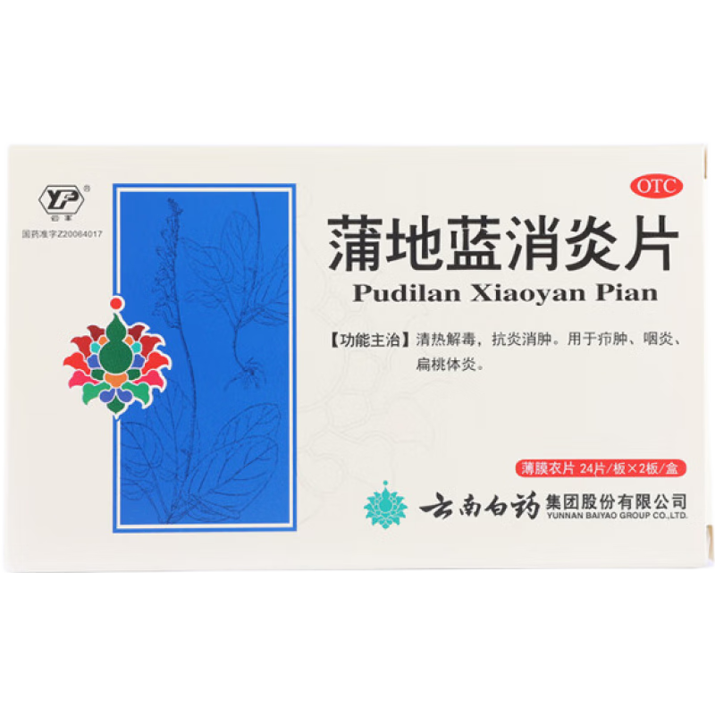 ���ڲ��������ϰ�ҩ �ѵ�������Ƭ 0.3g*48Ƭ/�� ���Ƚⶾ���������������ױ������� 1��װ