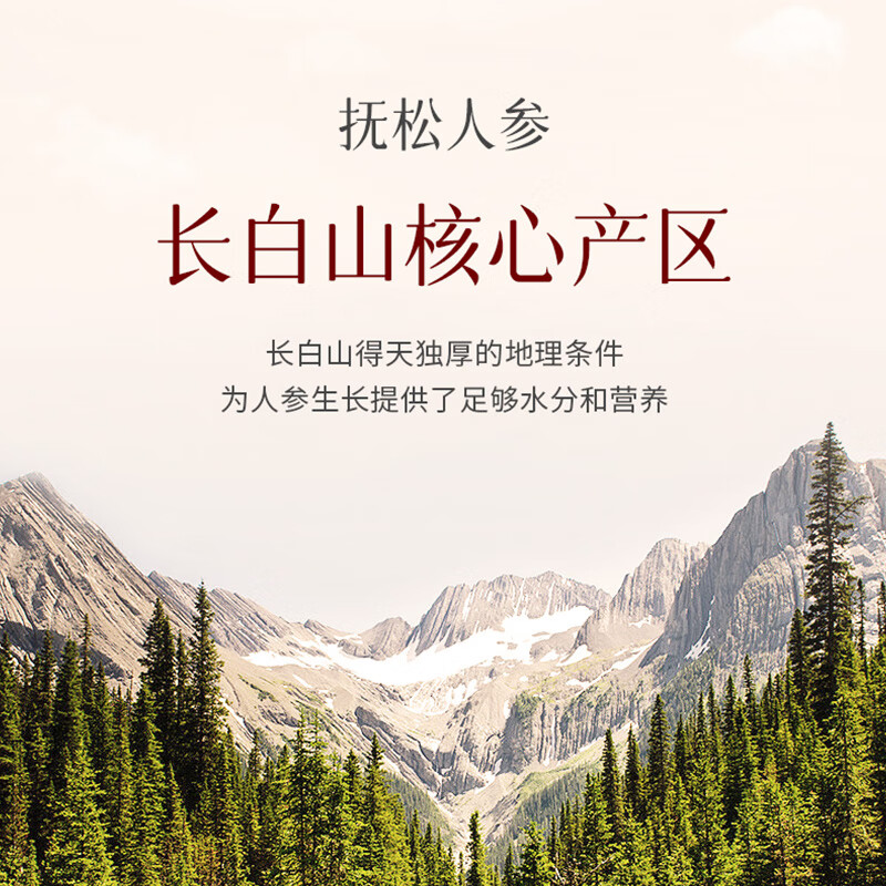 老滇凰人参片长白山人参切片干参生晒参片抚松人参
