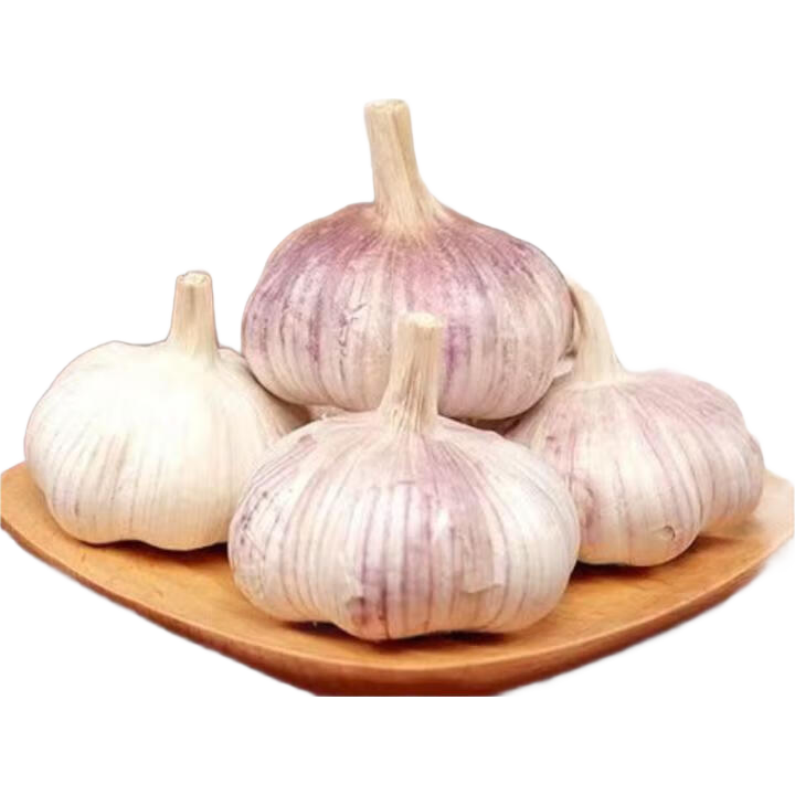 精品金乡紫皮大蒜新鲜干蒜大蒜头蔬菜调料调味大果4.5-5cm 精品大蒜3头【100克】