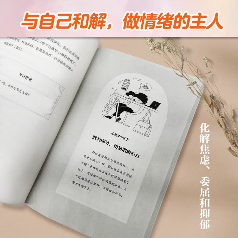 定位你的情绪开关：脑科学中的心理疗愈指南详情图