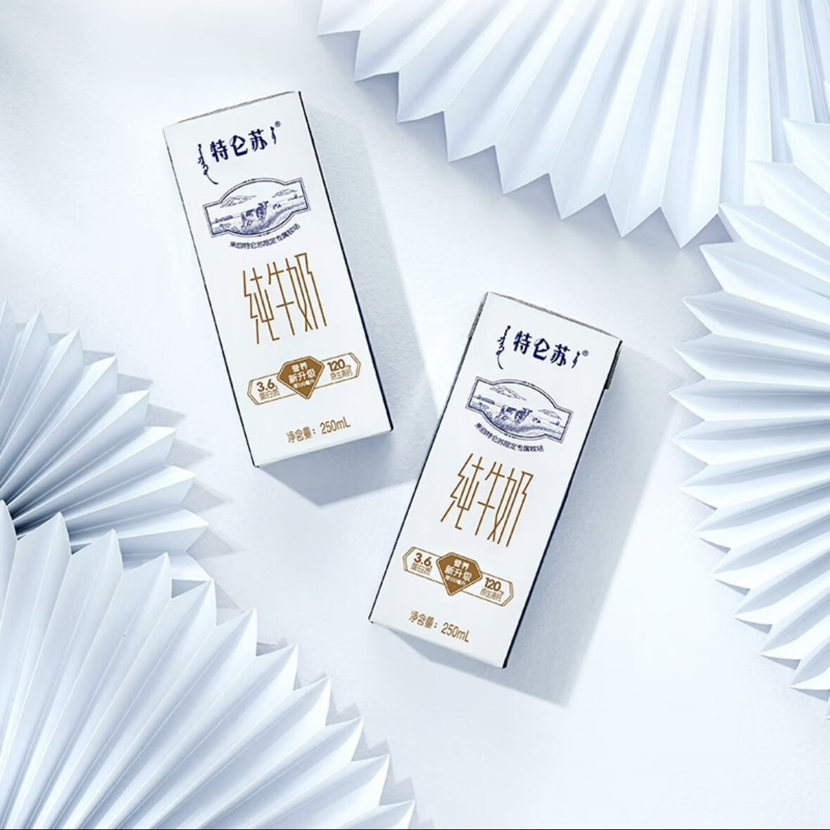 蒙牛特仑苏纯牛奶250ml*12盒整箱3.6g乳蛋白礼盒(10月到期)