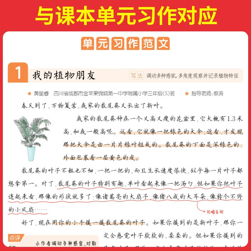 一本小学同步作文100篇三年级下册 2024春语文单元习作好词好句写作技巧素材积累真题拓展满分范文书