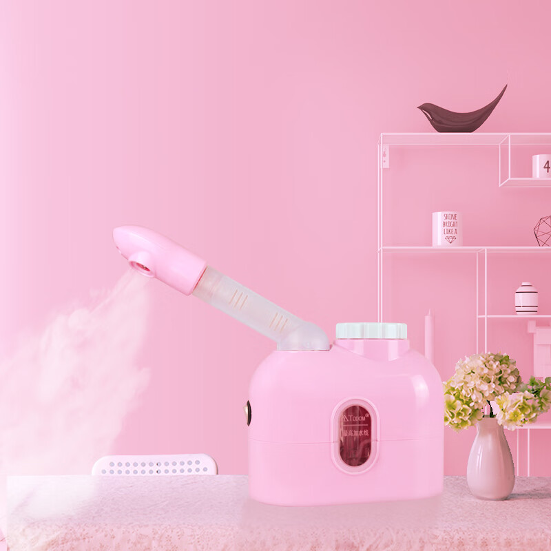 中药蒸鼻仪熏鼻器鼻炎熏蒸仪器热喷蒸脸器蒸脸机蒸鼻器可放精油香