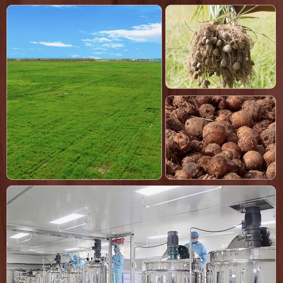 兵团红啤酒多仓发货新疆油莎豆零嘌呤精酿啤酒新疆特产啤酒 新疆兵团红油莎豆精酿啤酒500ML*12罐 500mL 1罐 整箱装 500ml*12罐