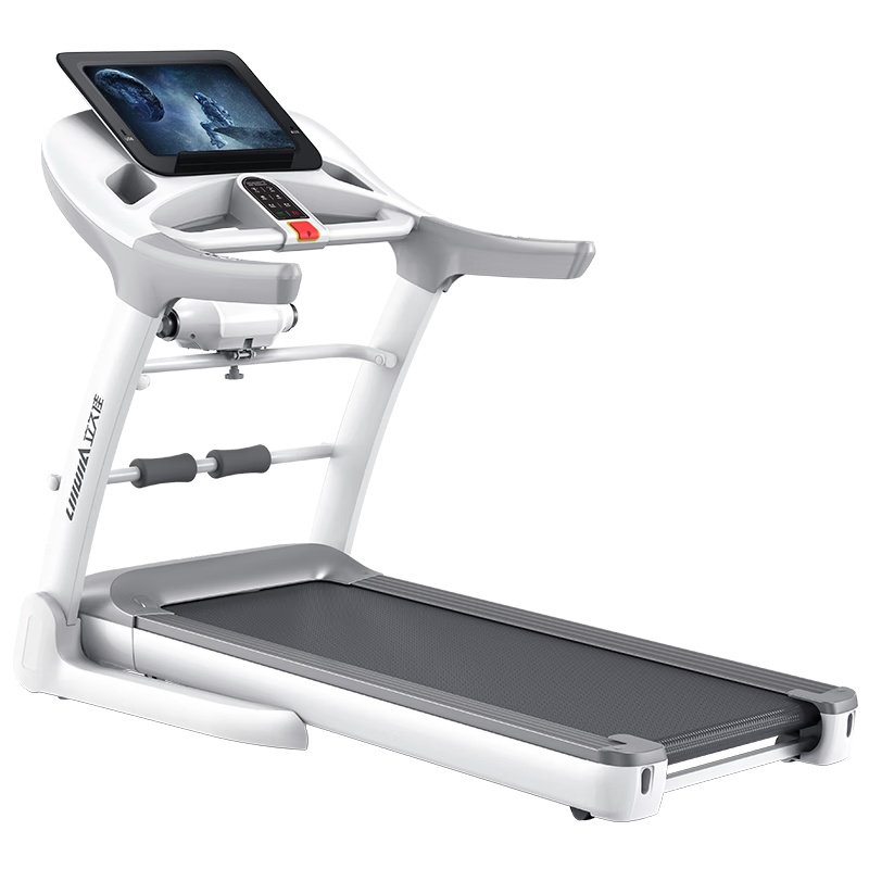 LIJIUJIA 立久佳 跑步机家庭用智能可折叠健身房运动器材 R8 10.1吋彩屏单功能